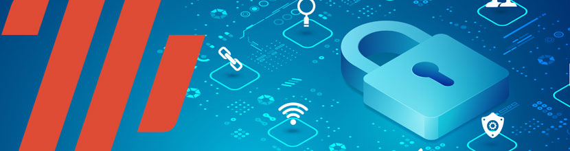 seguridad para el IoT